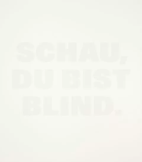 Rémy Zaugg — SCHAU, DU BIST BLIND.