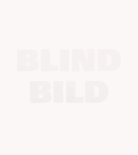 Rémy Zaugg — Blind Bild, 1992