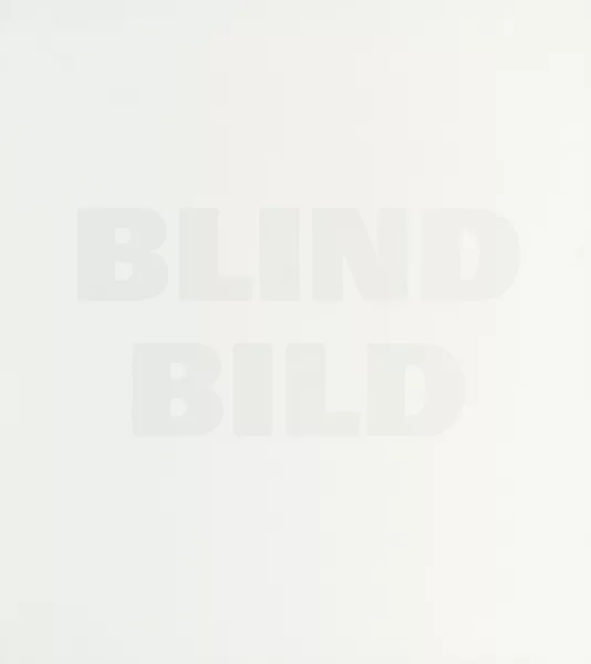 Rémy Zaugg — BLIND BILD, 1992BLIND PAINTING, 1992