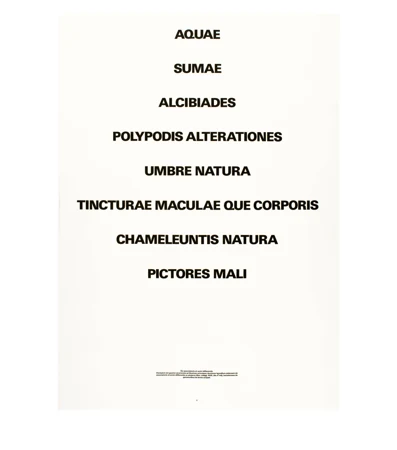 Rémy Zaugg — 15 aquatintes — Galerie Kornfeld