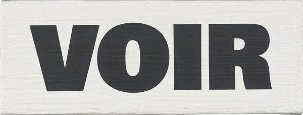 Rémy Zaugg — Voir