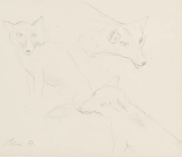 Les renards" et "Le cygne