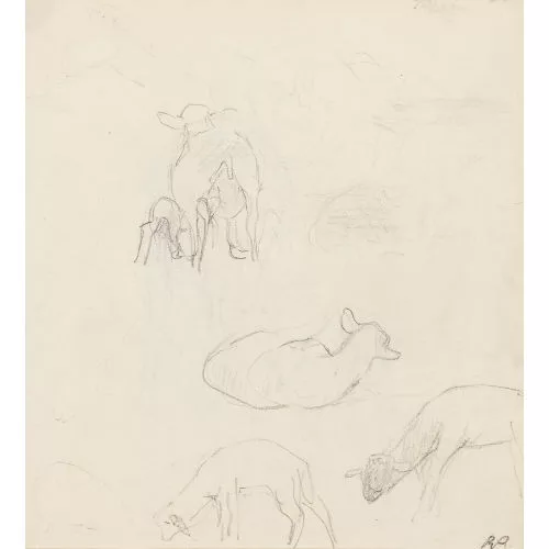 René Auberjonois — "Croquis pour des moutons".