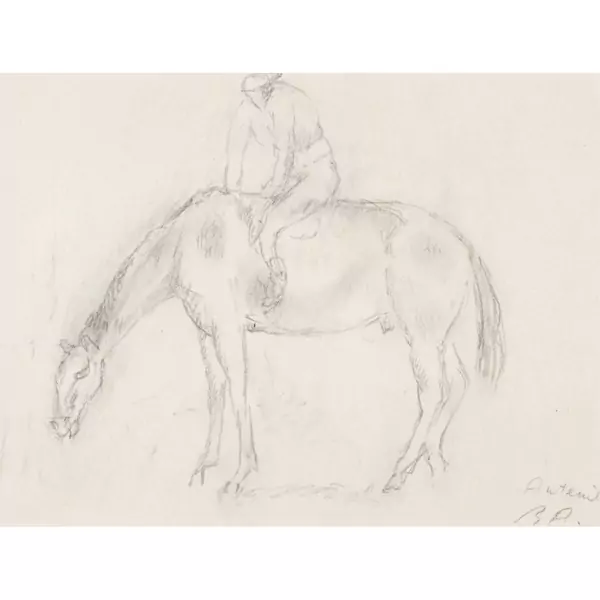 Reiter auf Pferd