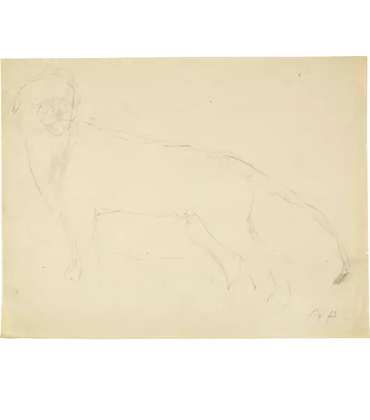 René Auberjonois — Berglöwe — Galerie Kornfeld