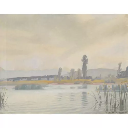 Sommerliche Uferlandschaft