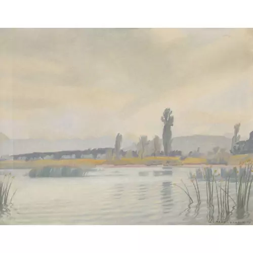 Sommerliche Uferlandschaft