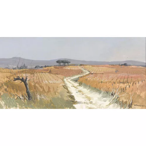 Renée Yolanda Hauser — "Vignes du Roussillon".