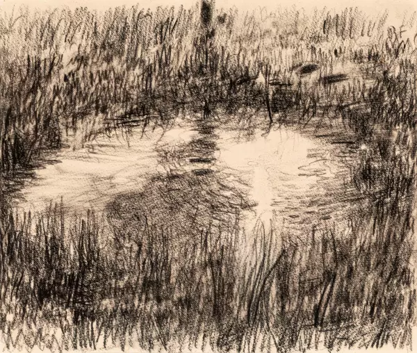Teich