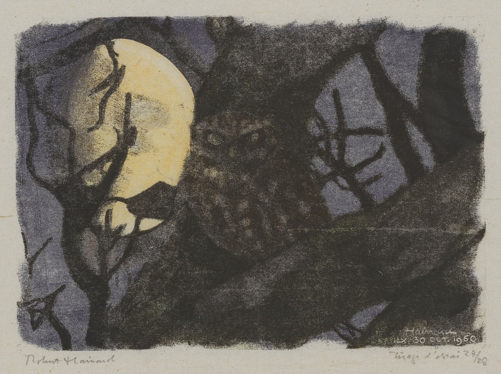 Chouette de nuit