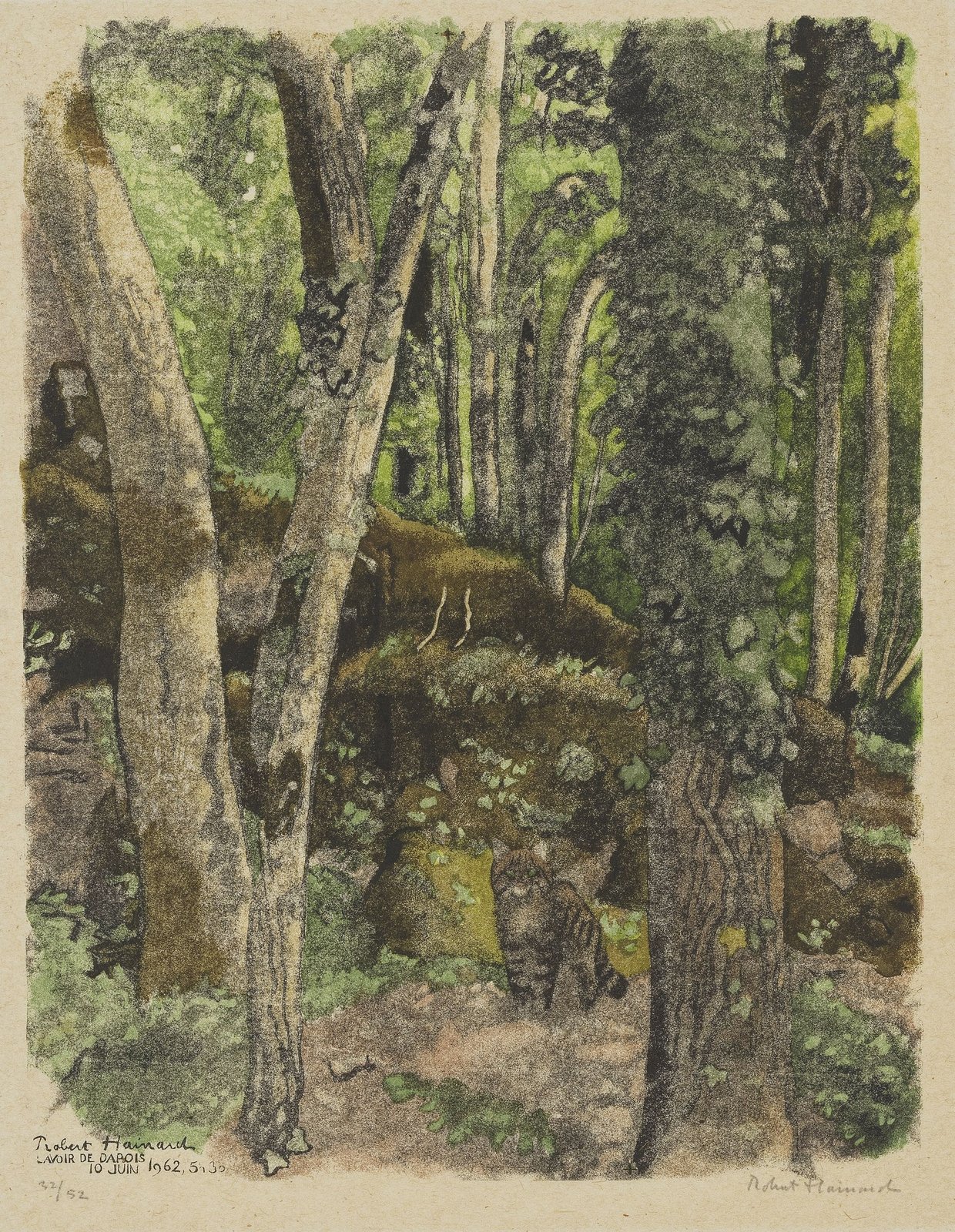 Chat dans les bois