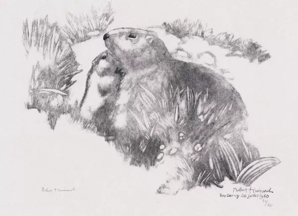 Robert Hainard (1906-1999), "Marmottes". — DognyAuction