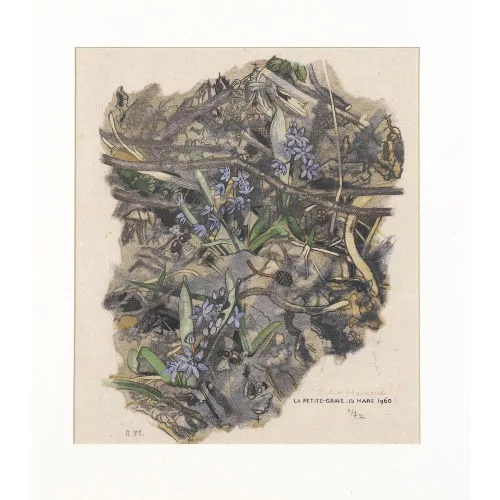 Robert Hainard — Scilles.