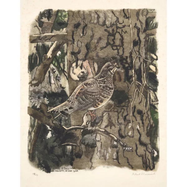Robert Hainard — "Poule gélinotte".