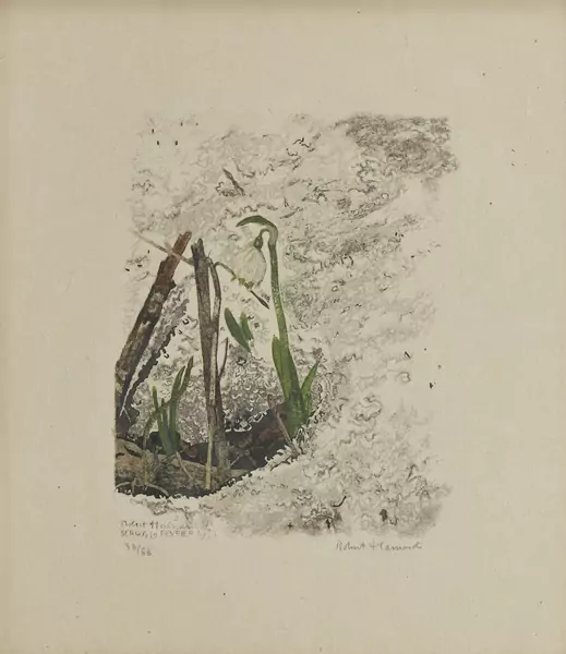 Robert Hainard (1906-1999) — Genève Enchères
