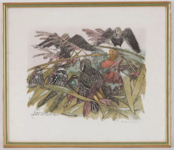 Robert Hainard — Le coucher des étourneaux, Moulin de Vert, 24. oct.1962,