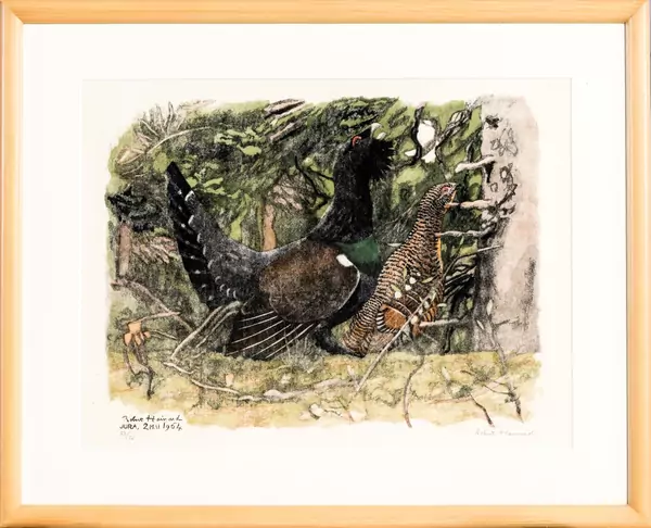 Grand Tétras avec sa poule