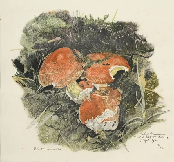 Champignons