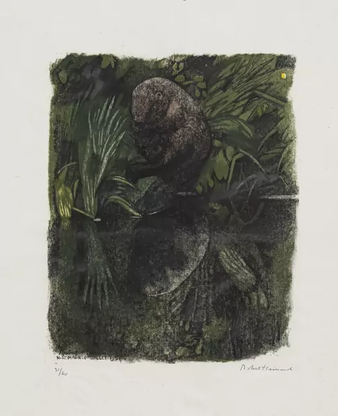 Castor à sa toilette