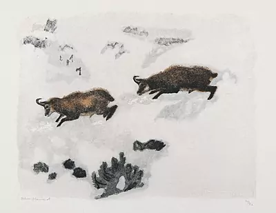 Robert Hainard — Dezember 2015 (A139) - Auktionsstart: 11.12.2015, 15:30 — Schuler Auktionen