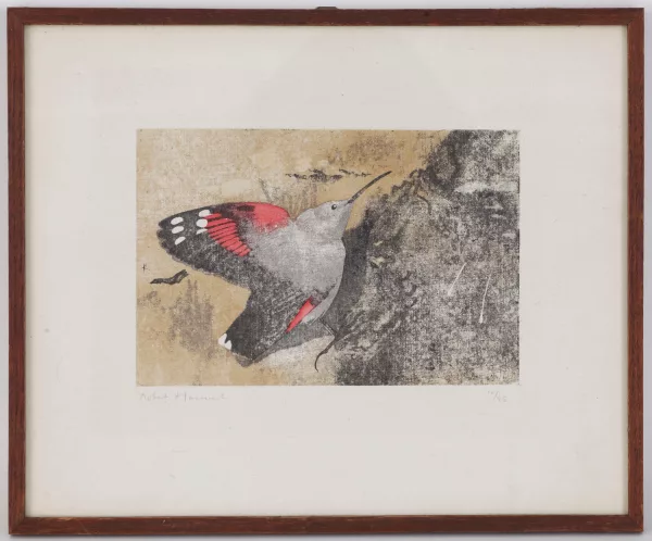 Robert Hainard — Tichodrome, Le Carro, Maurienne, 16 août 1935,