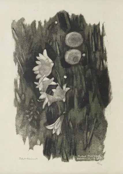 Robert Hainard (1906-1999) — Genève Enchères