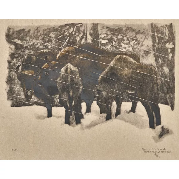 Robert Hainard — "Bisons sous la neige".