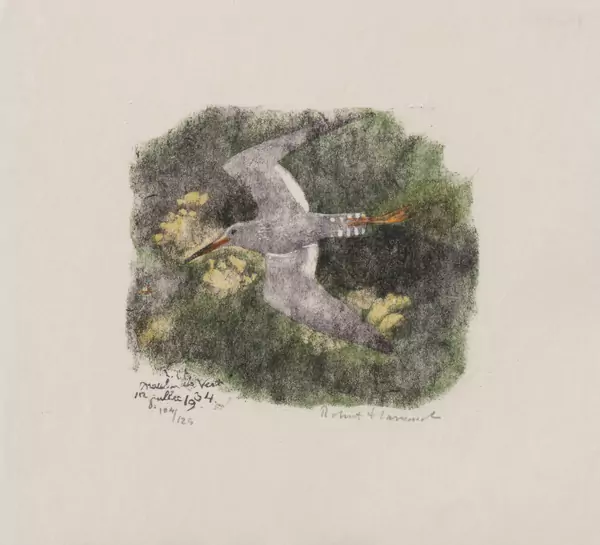 Robert HAINARD (1906-1999), "Chevalier gambette devant la rive boisée" — DognyAuction