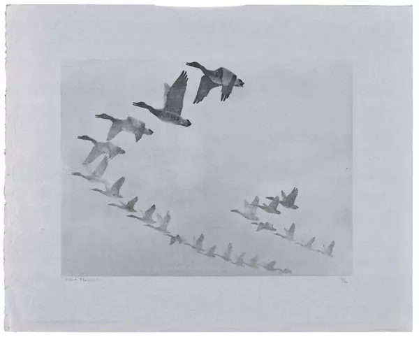 Robert Hainard (1906-1999) — Genève Enchères