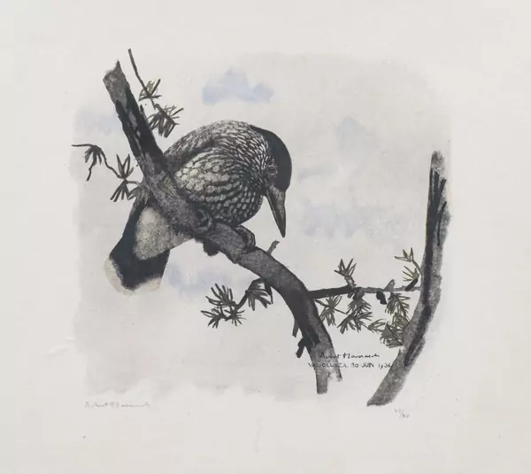 Robert HAINARD (1906-1999), "Casse-noix curieux (1936)", estampe — DognyAuction