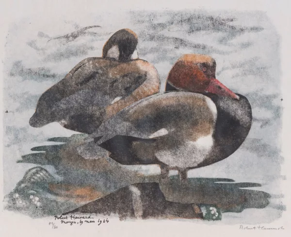 Robert Hainard — Couple de canards,
