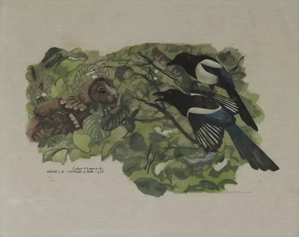 Robert Hainard (1906-1999) — Genève Enchères