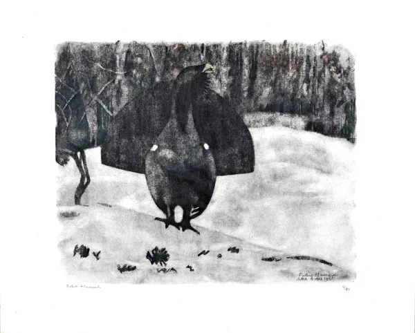 Robert Hainard — 3 Blätter: Grand coq à l’aube, sous la pluie, 1968; Deux renards devant le terrier, 1979; Ohne Titel, 1983