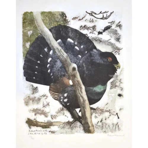 Robert Hainard — "Grand coq après le chant".
