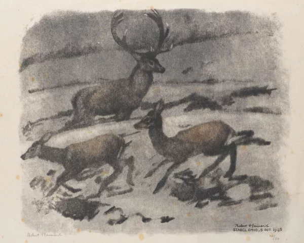Robert Hainard — Cerf et biches