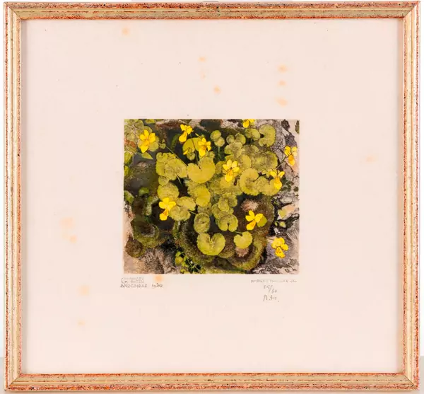 Fleurs