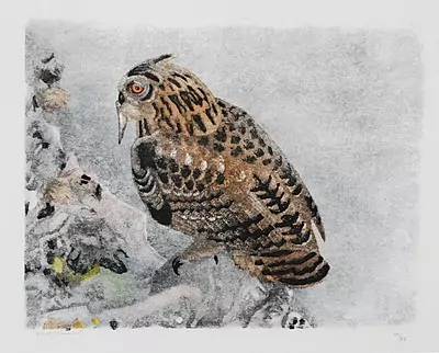 Robert Hainard — Dezember 2015 (A139) - Auktionsstart: 11.12.2015, 15:30 — Schuler Auktionen