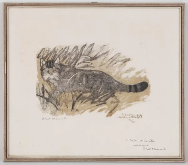 Robert Hainard — Chat sauvage s'esquivant, Etaules, 19 févr. 1962,