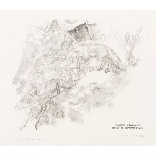 Robert Hainard — "Deux renards sur une pente ravinée".