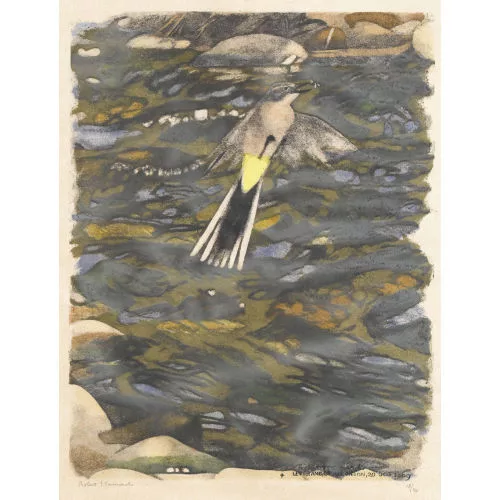 Robert Hainard — Oiseau.