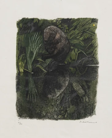 Castor à sa toilette