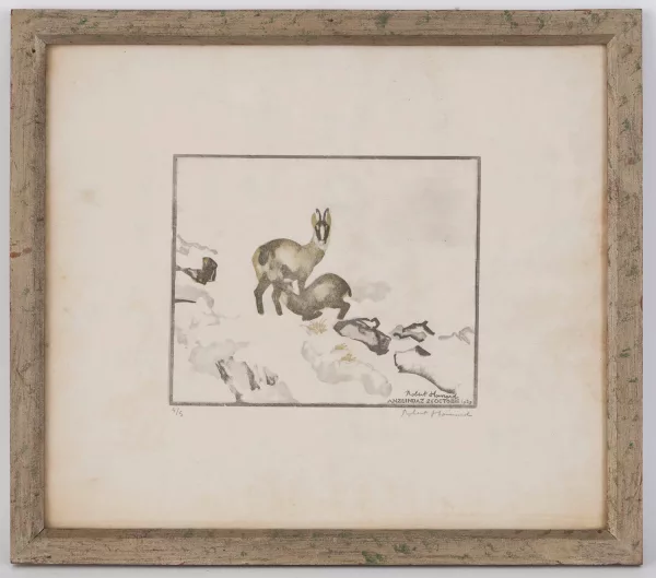 Robert Hainard — Chamois allaitant, Anzeindaz, 26 oct. 1929,