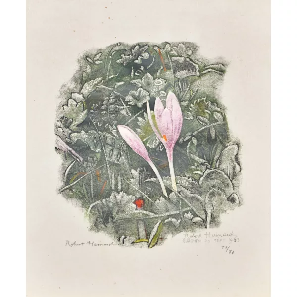 Robert Hainard — "Colchiques dans le givre".