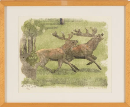 Cerfs s'accompagnant