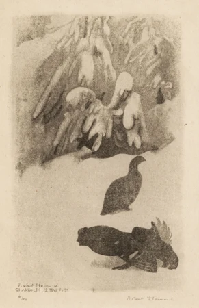 Petit coq et poules à l'aube