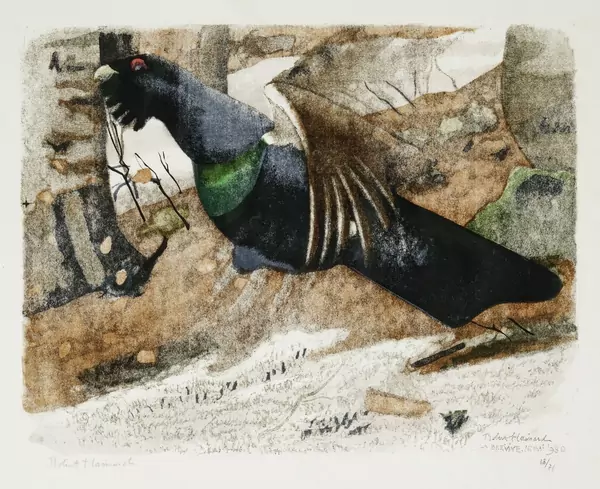 Robert Hainard (1906-1999) — Genève Enchères