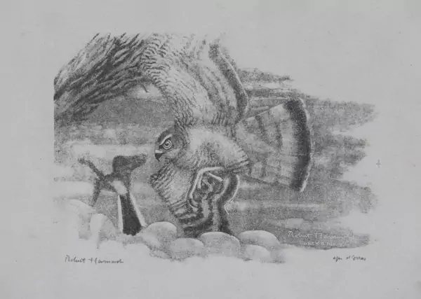 Robert Hainard (1906-1999) — Genève Enchères