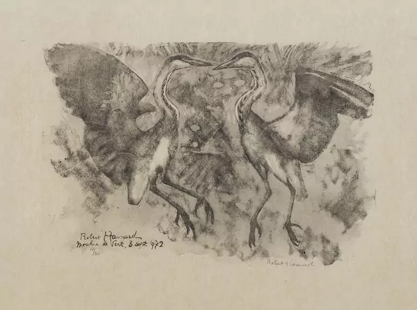 Robert Hainard (1906-1999) — Genève Enchères