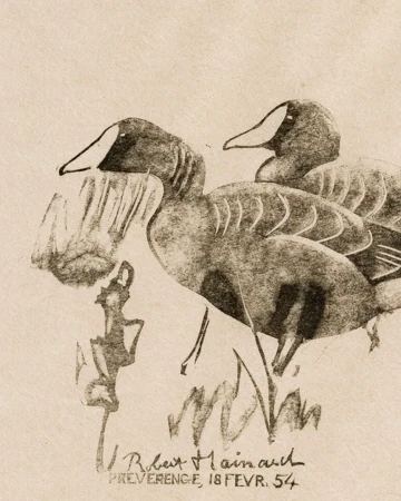 Oiseaux