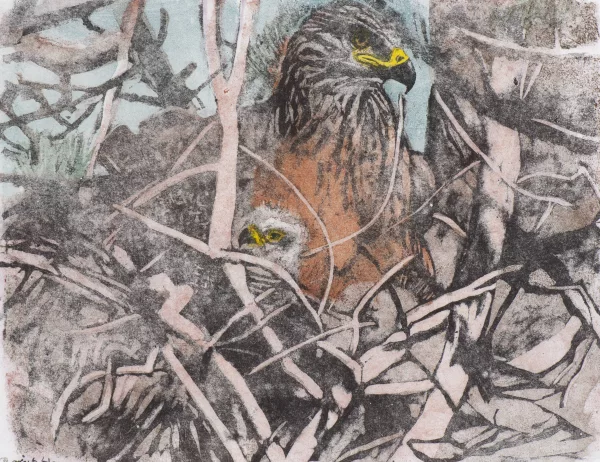 Robert Hainard — Aigle et aiglon